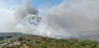 Ukrayna'da Orman Yangınları: Kiev, Harkiv ve Donetsk Bölgeleri Etkilendi