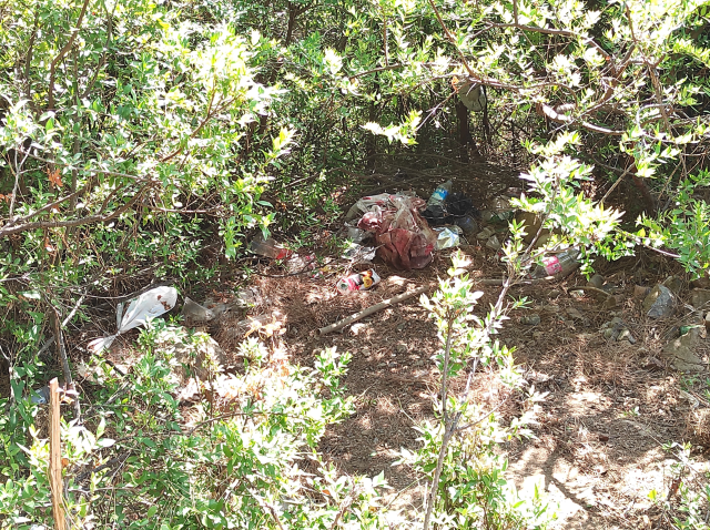 A 1-day-old baby found in the forest