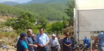 Bozyazı Kaymakamı Tuncay Topsakaloğlu, çilek serası kuran girişimciyi ziyaret etti