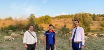 Eflani'de küçükbaş hayvancılık eğitimi düzenlendi