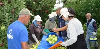 Isparta'da Elma Üreticilerine Zirai İlaç Uyarısı