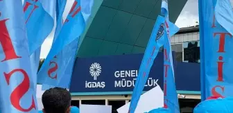 TÜMTİS Üyeleri İGDAŞ Genel Müdürlüğü Önünde Basın Açıklaması Yaptı