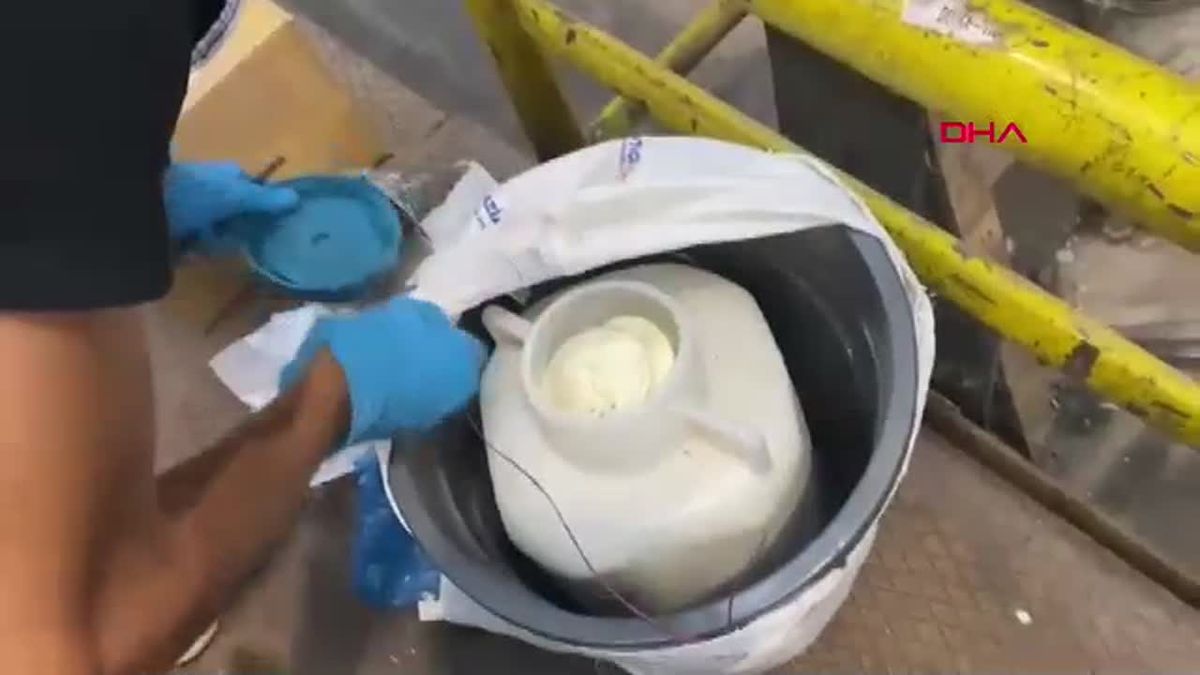 Düzce'de Kargo İle Gönderilen Peynir Bidonunda Skunk Ele Geçirildi