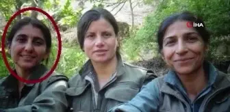 MİT, PKK/KCK'nın İran sorumlusunu etkisiz hale getirdi