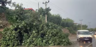 Adana ve Osmaniye'de fırtına ve sağanak etkili oldu