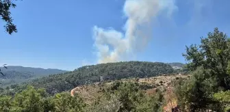 Kaş'ta ormanlık alanda çıkan yangına müdahale ediliyor