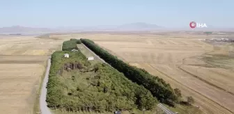 Bozkırın ortasındaki 'vahada' Eylül güzelliği