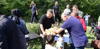 Sinop'ta Koruyucu Aile Çocukları için Doğa Yürüyüşü ve Piknik Etkinliği Düzenlendi