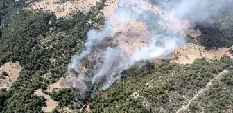 Kaş'ta Orman Yangını Çıktı