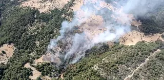 Kaş'ta çıkan orman yangını kontrol altına alındı