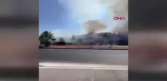 Muğla'da Makilik Yangını Ormana Sıçradı