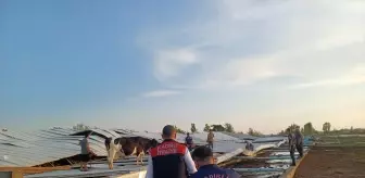 Osmaniye'de Fırtına ve Sağanak: Ağaçlar Devrildi, Yollarda Su Birikintileri Oluştu