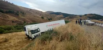 Erzurum'da tır şarampole uçtu