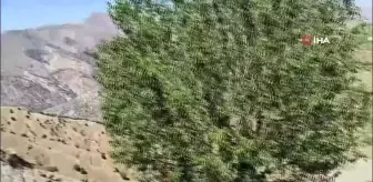 3 bin rakımda öğrencilerin okul heyecanına ortak oldular