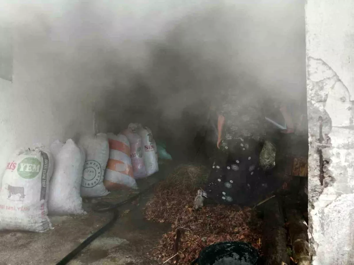 Zonguldak'ın Alaplı ilçesinde ahır yangını
