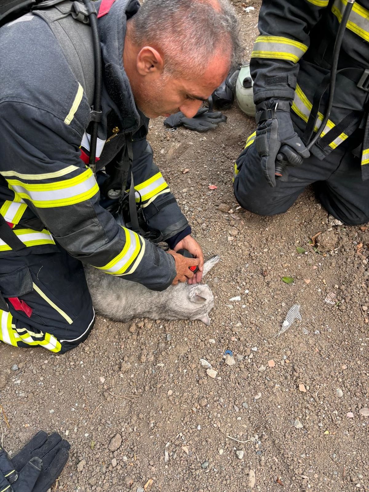 Çorum'da Yangında Baygın Halde Bulunan Kedi Kurtarıldı