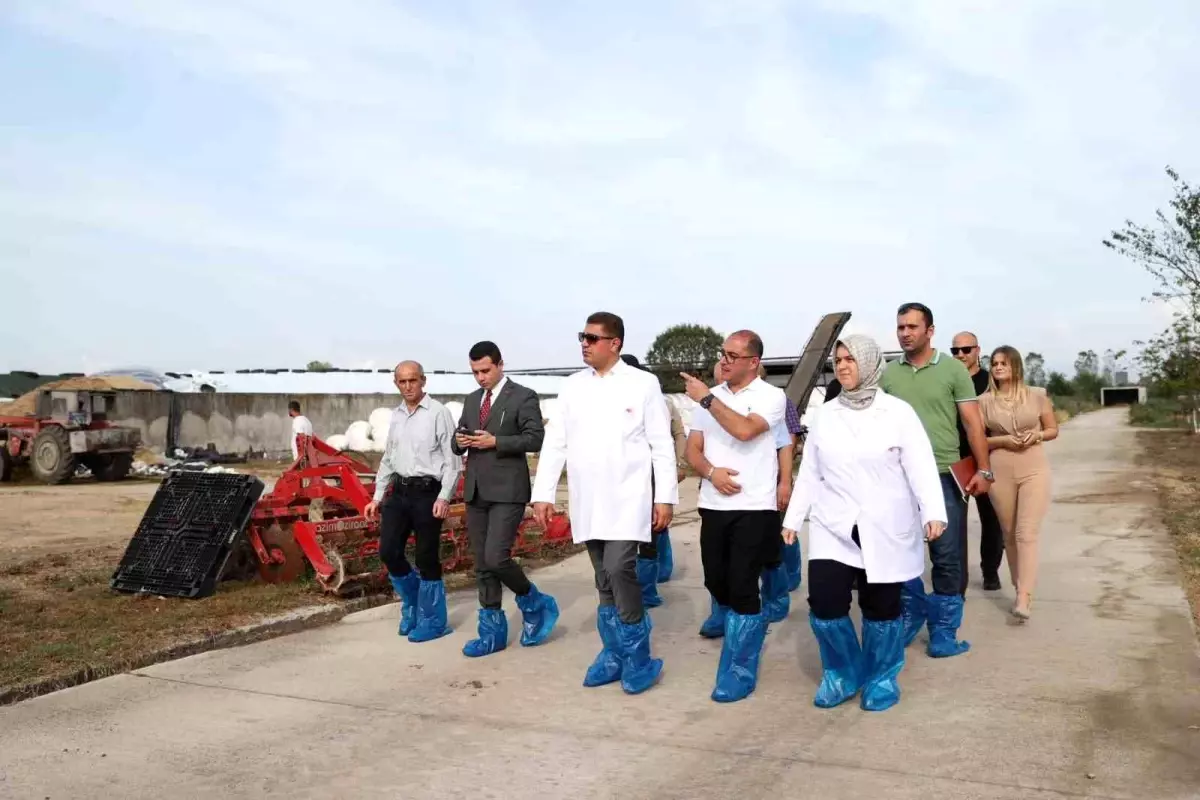 Düzce'de teknoloji yenileyen işletme Vali Selçuk Aslan tarafından incelendi