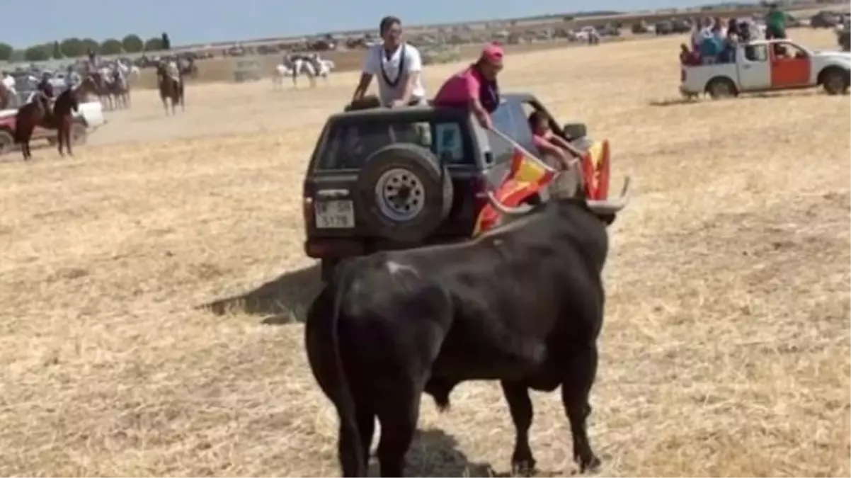 İspanya'da boğa koşusu festivalinde boğa, 20 yaşındaki genci boynuzlayarak öldürdü