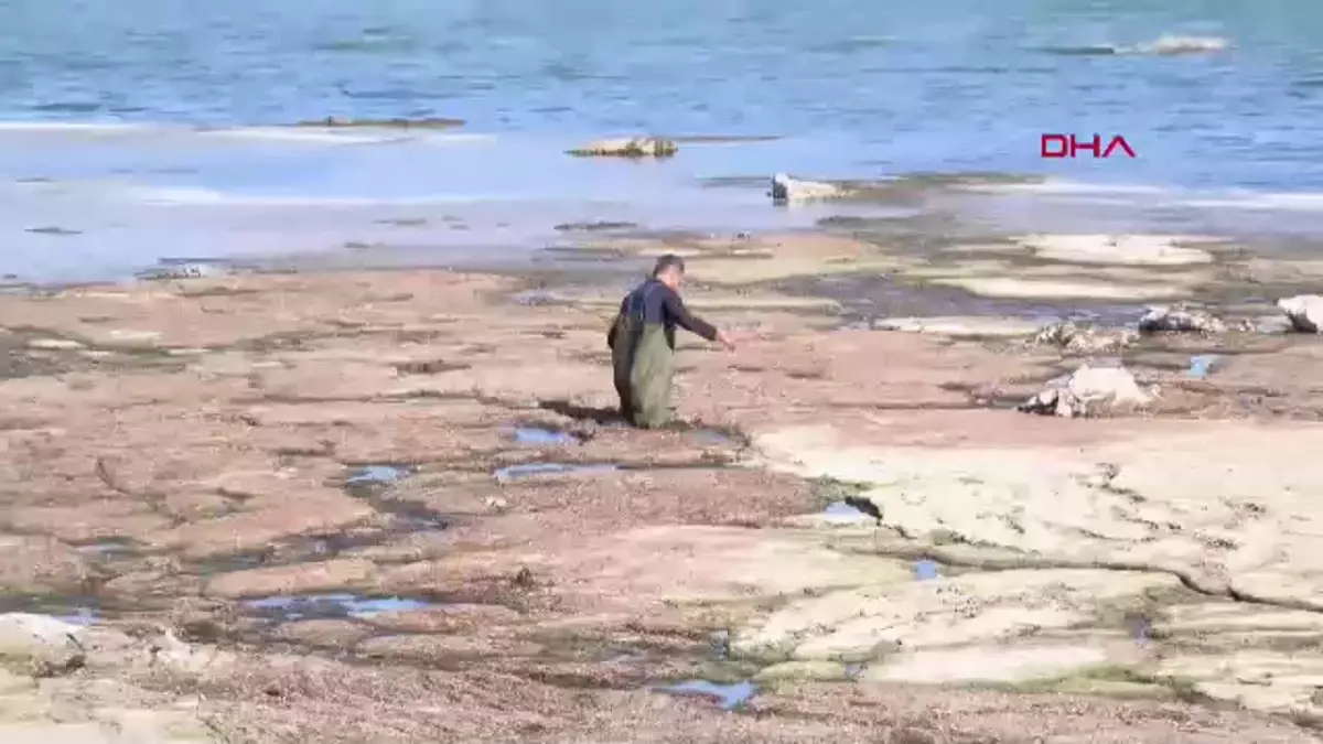 Eğirdir Gölü'nde Temizlik Çalışmaları Devam Ediyor