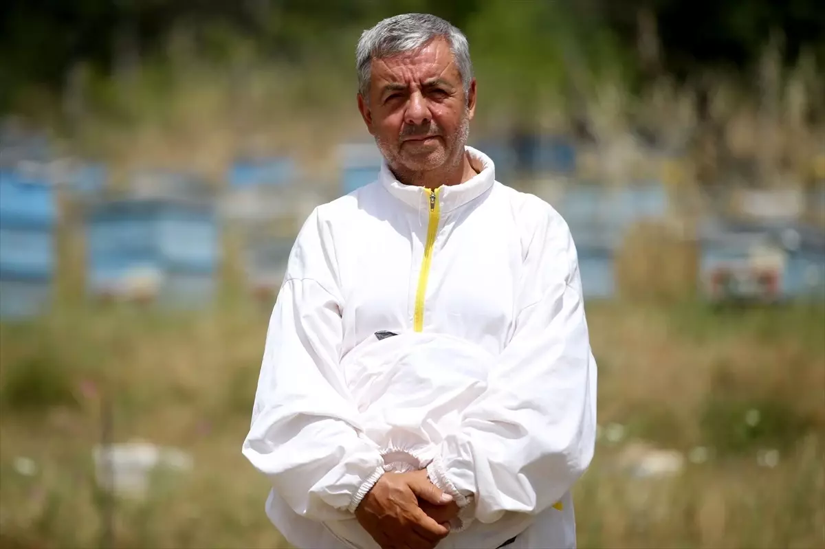Kırklareli Arısı Islah Projesi ile Bal Verimi Arttırılıyor