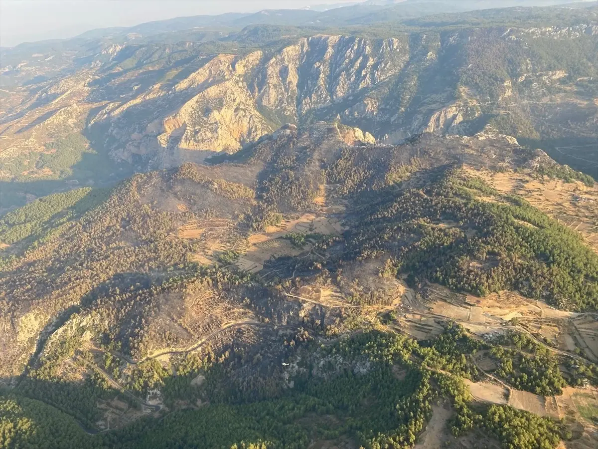 Muğla'da çıkan yangında 250 hektar orman ve ziraat alanı zarar gördü