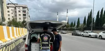 Pendik'te düğün konvoyu yapan sürücülere ceza kesildi