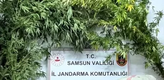 Samsun'da 8 Kilogram Uyuşturucu Ele Geçirildi