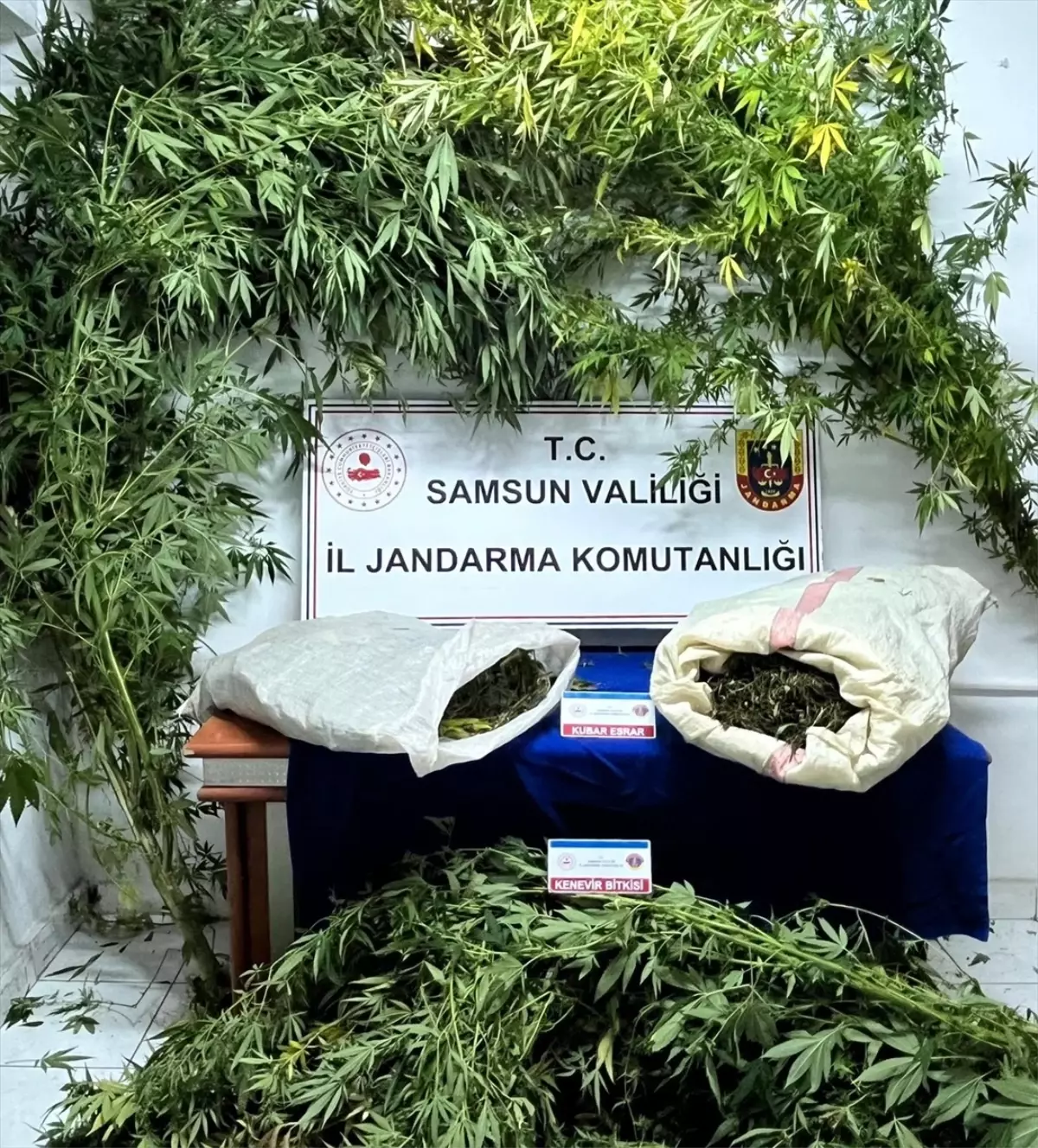 Samsun'da 8 Kilogram Uyuşturucu Ele Geçirildi