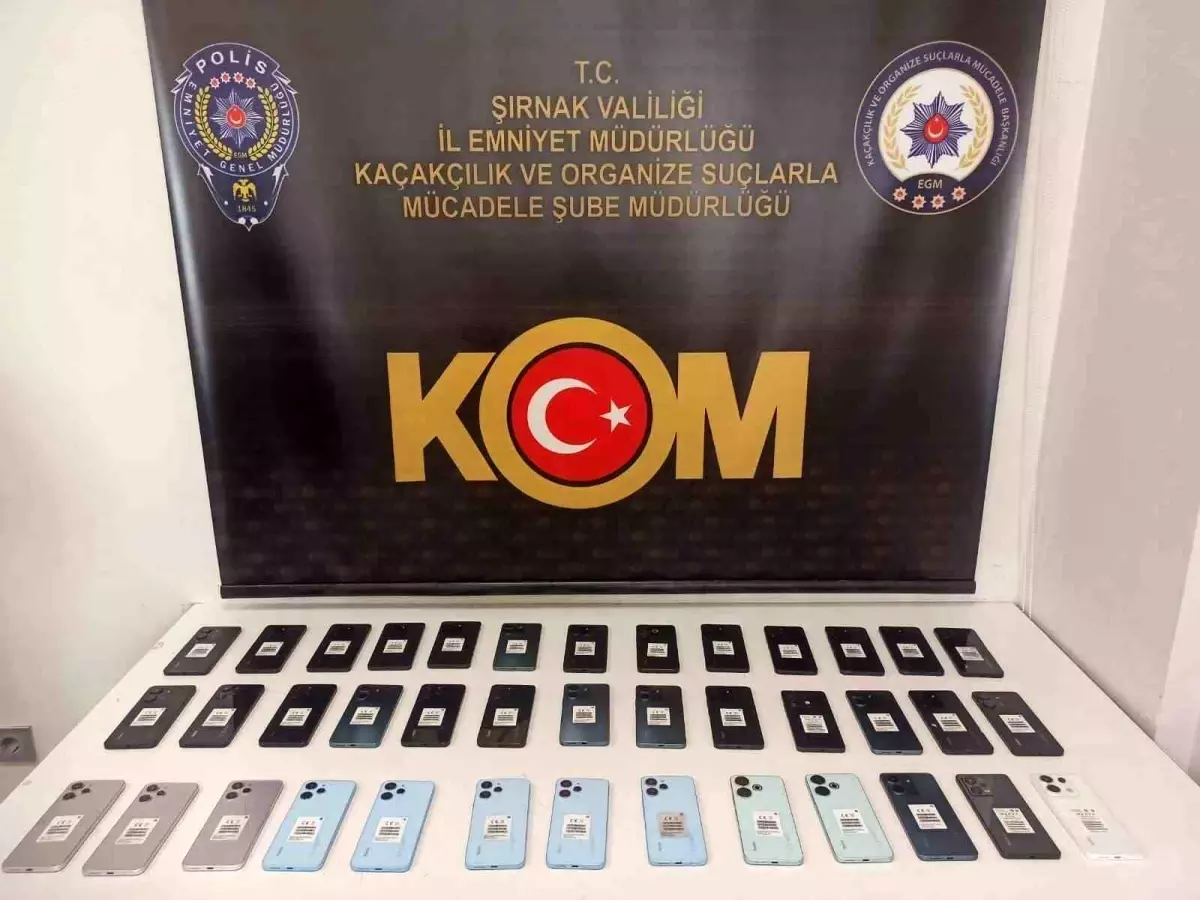 Şırnak'ta yapılan operasyonlarda 58 şüpheli hakkında işlem yapıldı