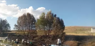 Sivas'ta çıkan anız yangınında 40 arı kovanı zarar gördü, arıcı yanık yaralandı