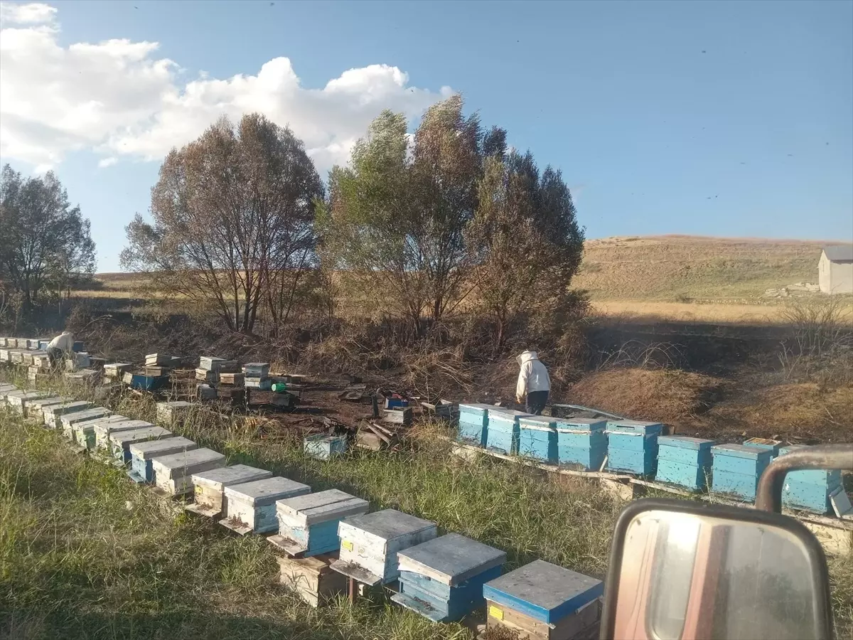 Sivas'ta çıkan anız yangınında 40 arı kovanı zarar gördü, arıcı yanık yaralandı