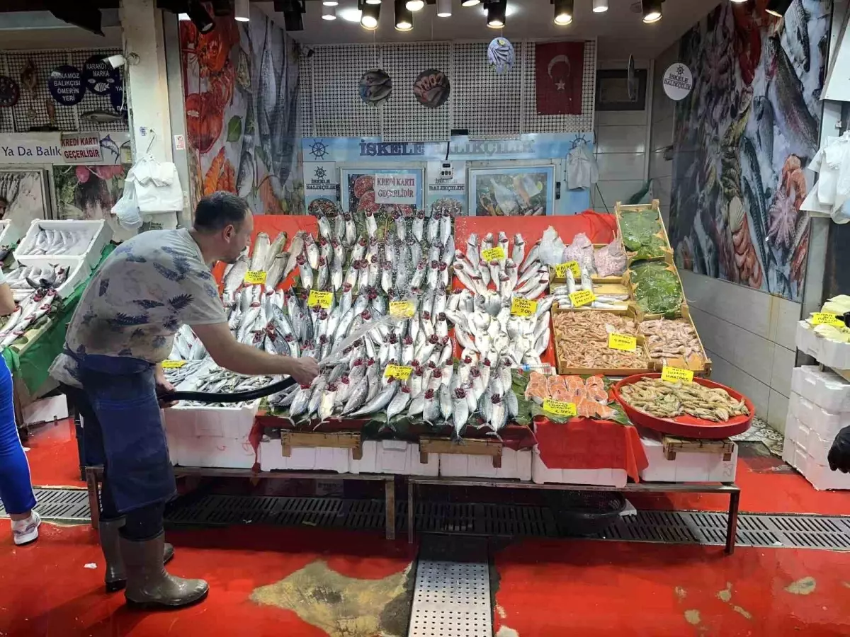 İstanbul'da Palamut Bolluğu: Fiyatlar 100 Liraya Kadar Düştü