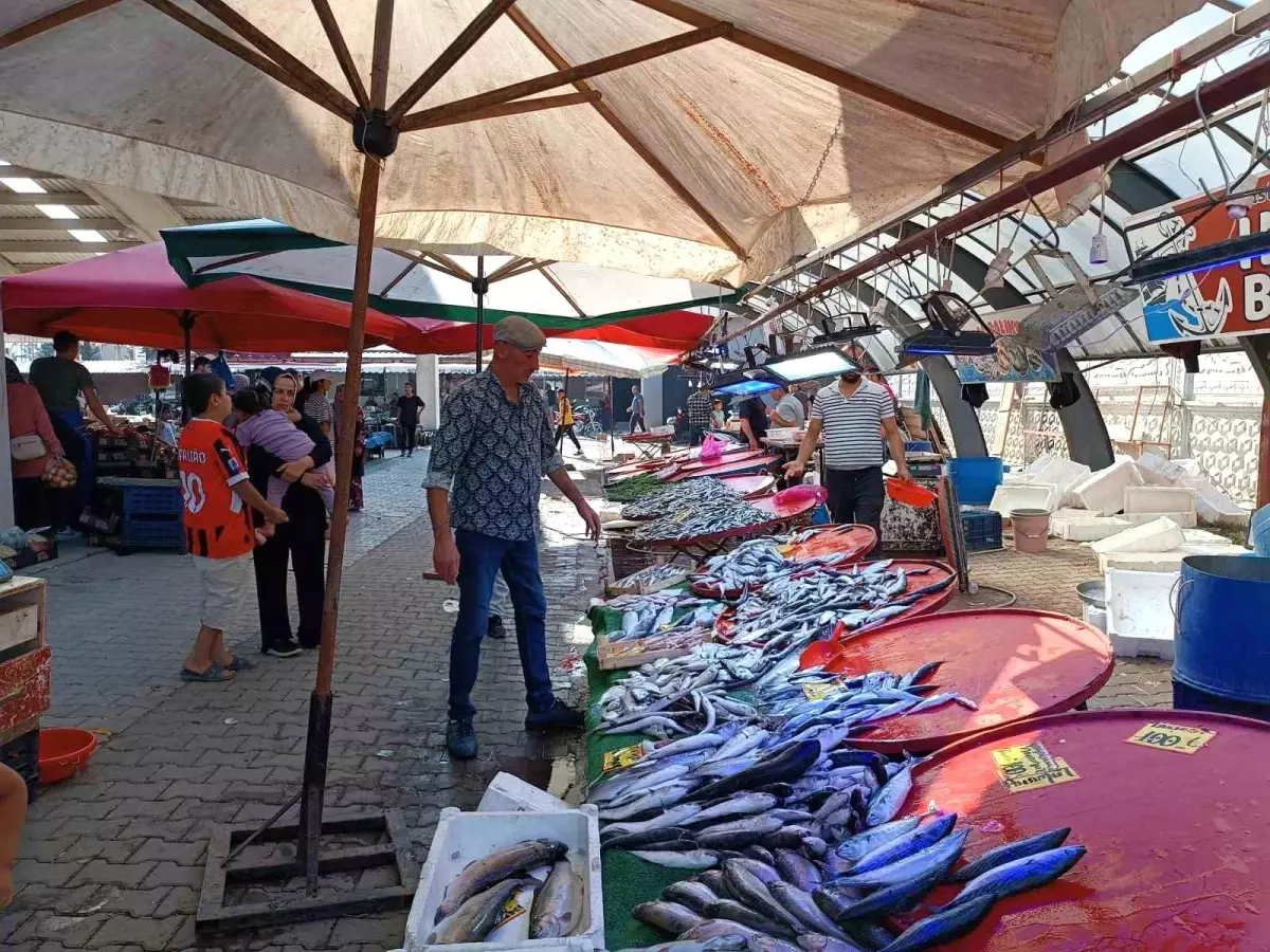 Afyonkarahisar'da Hamsiye Yoğun İlgi