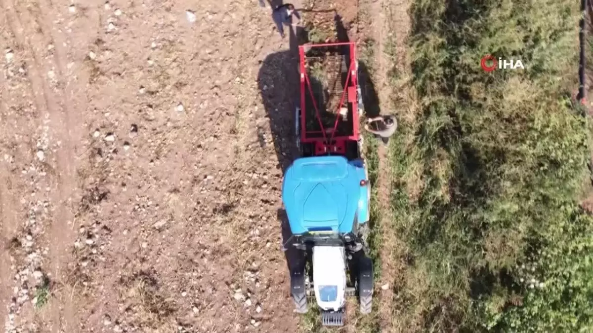 Yüksek verim ve kaliteye rağmen patates üreticileri tarla satış fiyatını düşük buldu