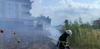 Arsuz'da çıkan yangınlar söndürüldü