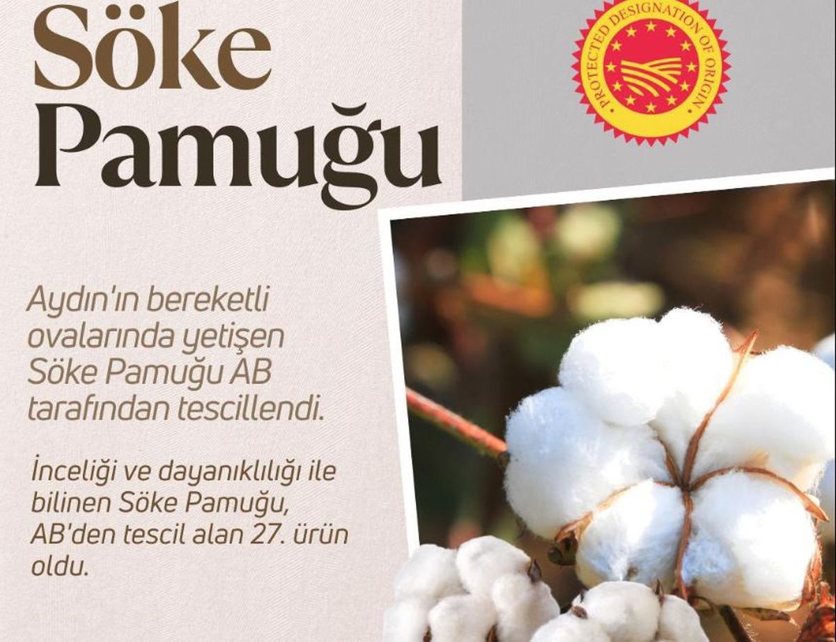Aydın Söke Pamuğu AB Coğrafi İşaret Tescili Aldı