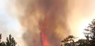 Bolu'nun Göynük ilçesinde ormanlık alanda yangın çıktı