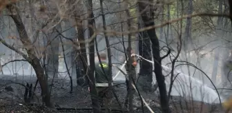 Bolu Göynük'te çıkan yangın kontrol altına alındı