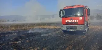 Tokat'ın Niksar ilçesinde çıkan yangında 25 dönümlük alan zarar gördü