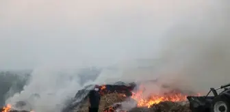 Adana'da anız yangını Seyhan Belediyesi şantiyesine sıçradı