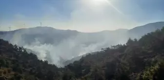 Antakya'da Orman Yangını Kontrol Altına Alınmaya Çalışılıyor