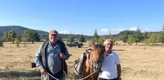 Denizli'de Yabani Ağaçlara Yapılan Aşılama İle Meyve Verimi Arttı