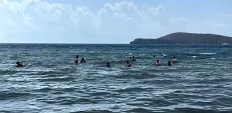 Bodrum'da Yağmur Denizin Rengini Değiştirdi