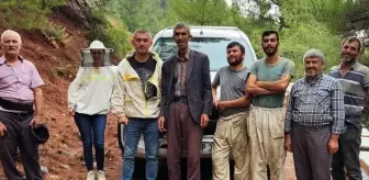 Aydın'da Gezginci Arıcıların Kovan Tespitleri Yapıldı