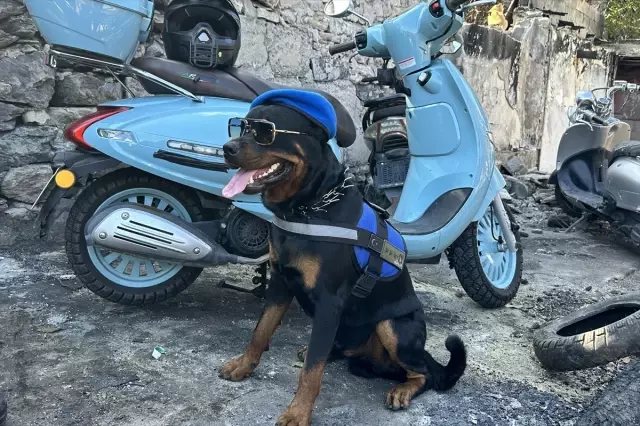 Motorcycle Mechanic in Istanbul Goes Everywhere with His Dog