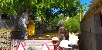 Konya'da Gazze'ye yardım için buğday toplandı