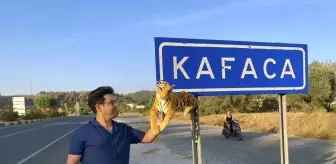 Muğla'da Kafaca Mahallesi tabelasına ilginç çözüm