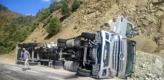 Bolu'da Yem Yüklü Tır Yol Kenarına Devrildi