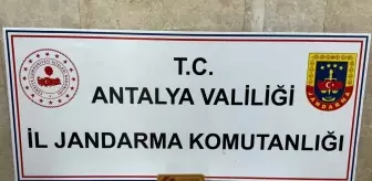 Alanya'da sahte basın kimlikleri kullanan şüpheli yakalandı