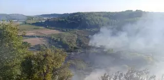 Antalya Aksu'da Orman Yangınına Hava ve Kara Müdahalesi